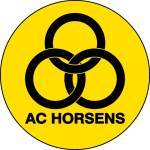 霍森斯后备队